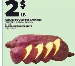 Provigo CARIBBEAN SWEET POTATO offer