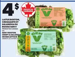 Provigo GEN V BOSTON, CRISPY & SALANOVA OR RED LETTUCE offer