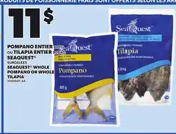 Provigo SEAQUEST WHOLE POMPANO, 800 G OR WHOLE TILAPIA, 1,36 KG offer