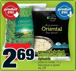 Super C GERMES DE HARICOT | BEAN SPROUTS offer