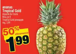 Super C ananas Tropical Gold | Tropical Gold pineapple offer