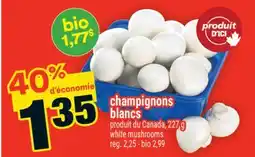 Super C champignons blancs | white mushrooms offer