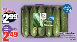 Super C mini cucumbers / mini cucumbers offer