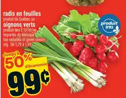 Super C RADIS EN FEUILLES | TOP RADISHES offer