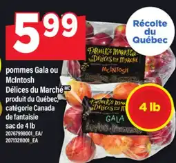 Maxi POMMES GALA OU MCINTOSH DÉLICES DU MARCHÉ, SAC DE 4 LB offer