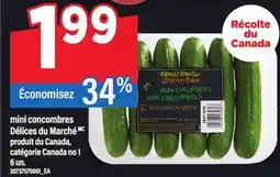 Maxi MINI CONCOMBRES DÉLICES DU MARCHÉ, 6 un offer