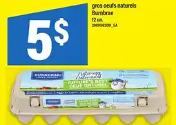 Maxi GROS OEUFS NATURELS BURNBRAE, 12 UN offer