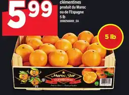 Maxi CLÉMENTINES, 5 LB offer