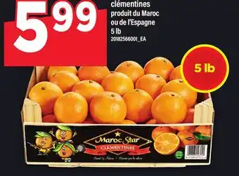 Maxi CLÉMENTINES, 5 LB offer