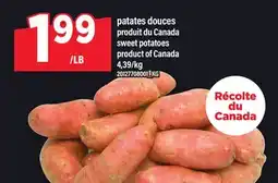 Maxi PATATES DOUCES | SWEET POTATOES offer