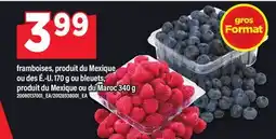 Maxi FRAMBOISES, DES É.-U. 170 G OU BLEUETS, DU MAROC 340 G offer