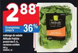 Maxi MÉLANGE DE SALADE ATTITUDE FRAÎCHE 142 G offer