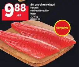 Maxi FILET DE TRUITE STEELHEAD | STEELHEAD TROUT FILLET offer