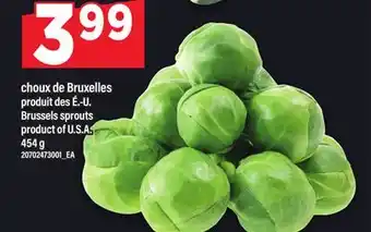 Maxi CHOUX DE BRUXELLES | BRUSSELS SPROUTS, 454 G offer