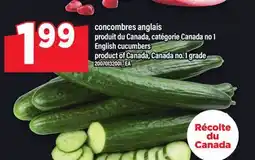 Maxi CONCOMBRES ANGLAIS | ENGLISH CUCUMBERS offer