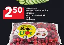 Maxi CRANBERRIES | CRANBERRIES, 340 G offer