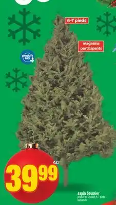 Super C sapin baumier | balsam fir offer