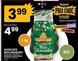 Rachelle-Bery Grocery ORGANIC AVOCADOS offer