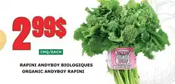 Marches Tau RAPINI ANDYBOY BIOLOGIQUES offer