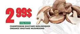 Marches Tau CHAMPIGNON SHIITAKE BIOLOGIQUES offer