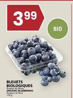 Rachelle-Bery Grocery ORGANIC BLUEBERRIES offer