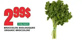 Marches Tau BROCCOLINI BIOLOGIQUES offer