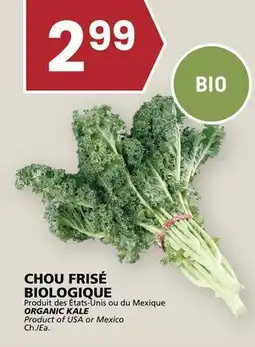 Rachelle-Bery Grocery ORGANIC KALE offer