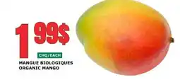 Marches Tau MANGUE BIOLOGIQUES offer