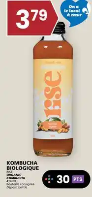 Rachelle-Bery Grocery RISE ORGANIC KOMBUCHA offer