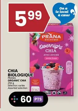 Rachelle-Bery Grocery PRANA ORGANIC CHIA offer