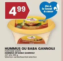 Rachelle-Bery Grocery FONTAINE SANTÉ HUMMUS OR BABA GANNOUJ offer