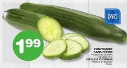 Marches Tradition SEEDLESS CUCUMBER offer