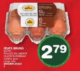 Marches Tradition NUTRI BROWN EGGS offer