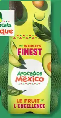 IGA HASS AVOCADOS offer