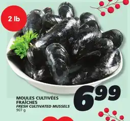 IGA FRESH CULTIVATED MUSSELS offer