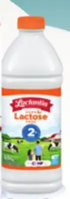 IGA LACTANTIA LACTOSE-FREE MILK offer