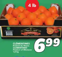 IGA CLEMENTINES offer