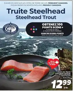 IGA FRESH STEELHEAD TROUT FILLETS offer