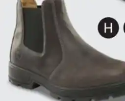 L'équipeur Leather Boots offer