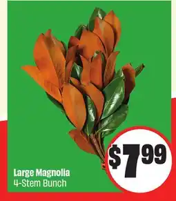 FreshCo Large Magnolia 4-Stem Bunch offer