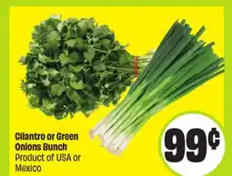 FreshCo Cilantro Green Onions Bunch Product of USA or Mexico offer