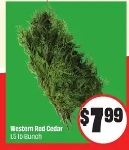FreshCo Western Red Cedar 1.5 lb Bunch offer