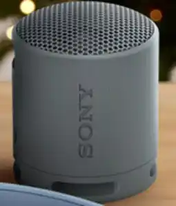 Walmart Sony SRS-XB1OO portable mini speaker offer