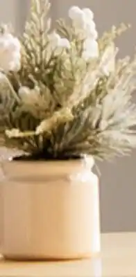 Walmart Bouclair small winter greenery offer