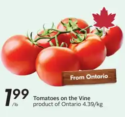 Sobeys Tomatoes on the Vine offer