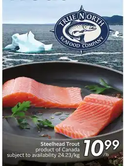 Sobeys Steelhead Trout offer