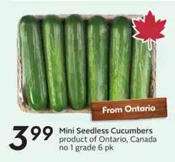 Sobeys Mini Seedless Cucumbers offer
