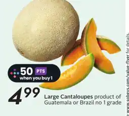 Sobeys Large Cantaloupes offer