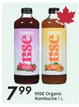 Sobeys RISE Organic Kombucha offer