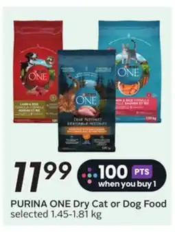 Sobeys PURINA ONE Dry Cat or Dog Food offer